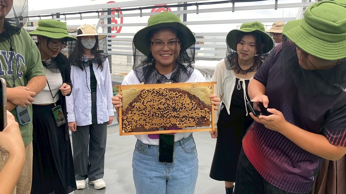 參觀都市養蜂的岡山蜜蜂計畫：桃太郎蜂蜜研究所(另開新視窗/jpg檔)圖片