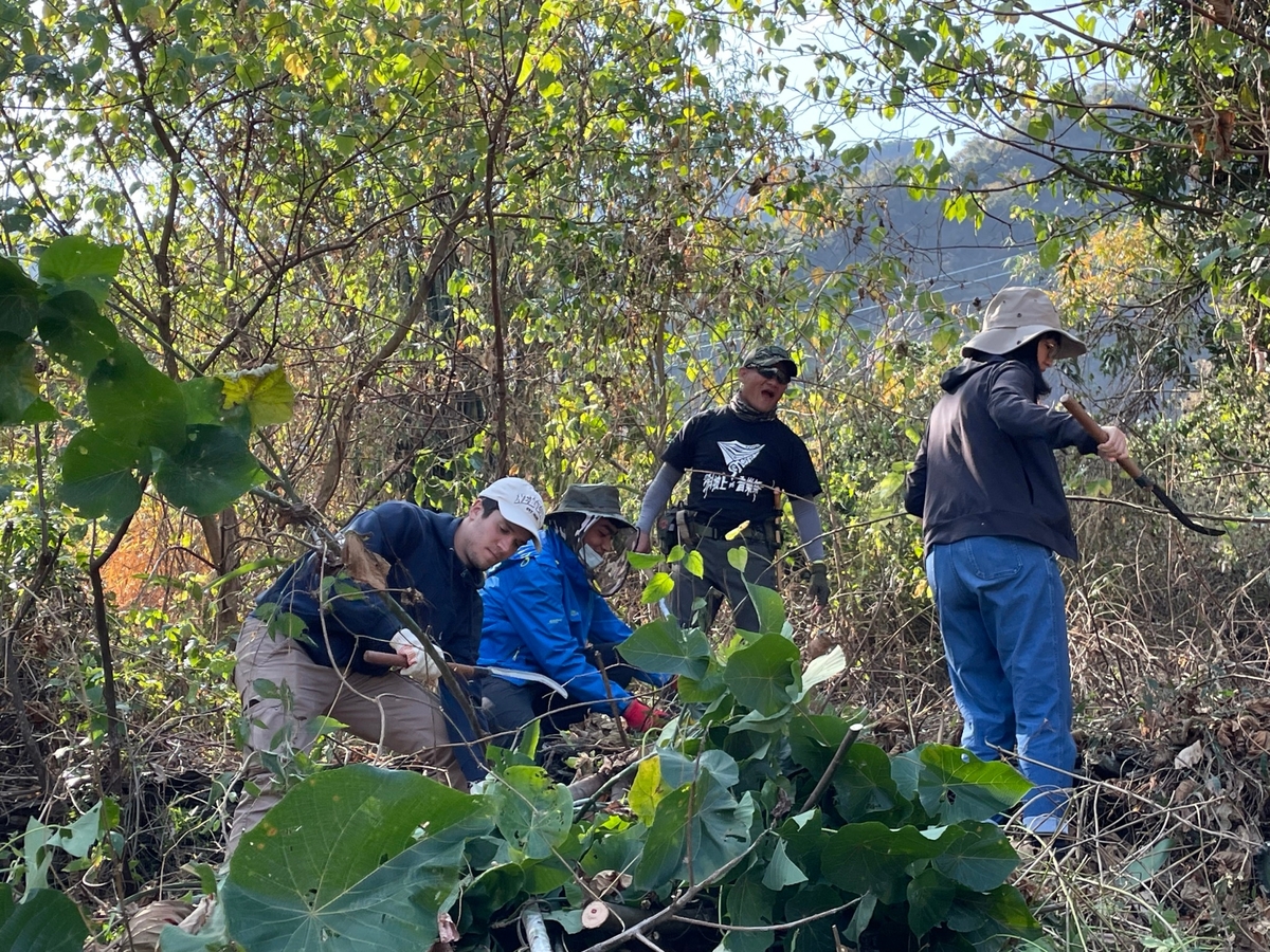 小米復耕(另開新視窗/jpg檔)圖片