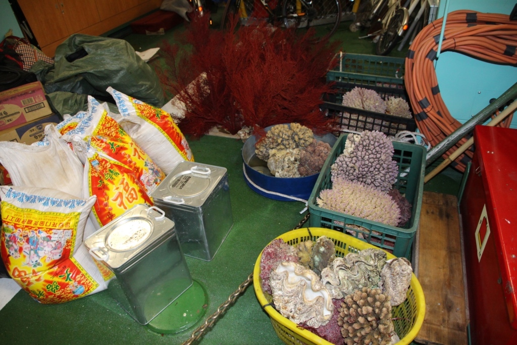海巡於東沙海域執法所抓獲的違法盜獵船隻(另開新視窗/jpg檔)圖片