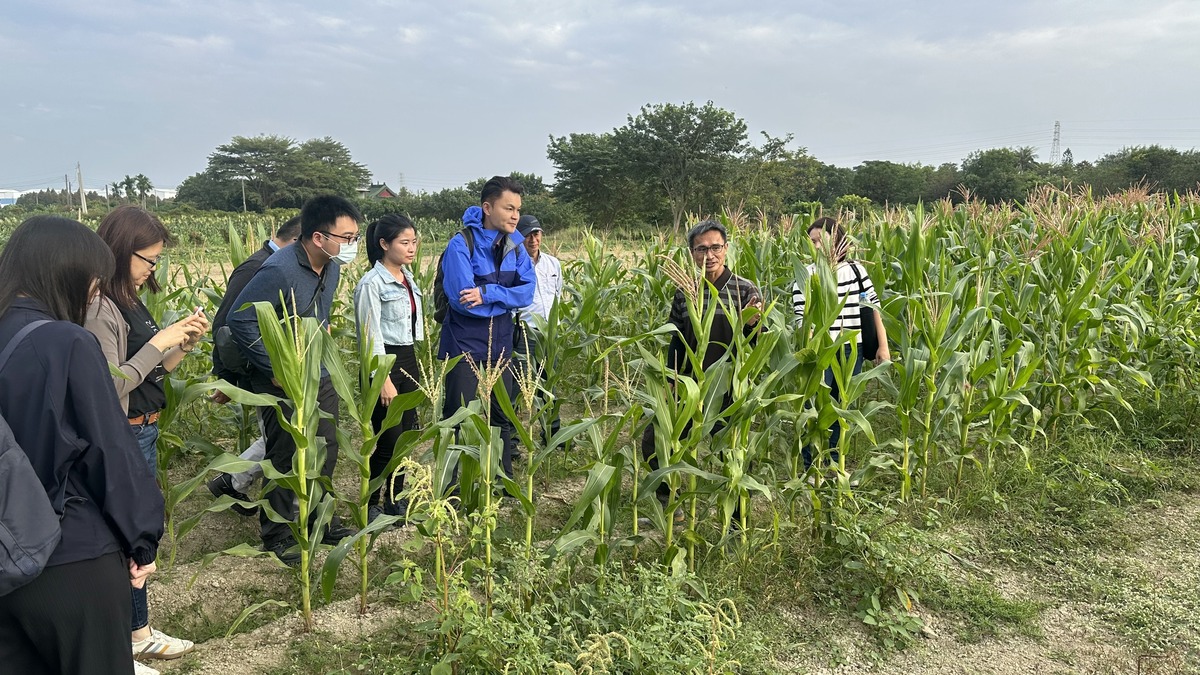 師生走入有機農園，體驗作物採收並理解與土地共生的永續農業方式。(另開新視窗/jpg檔)圖片