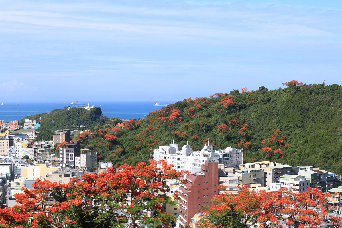中山大學鳳凰花開　青春從山海啟程(另開新視窗/jpg檔)圖片
