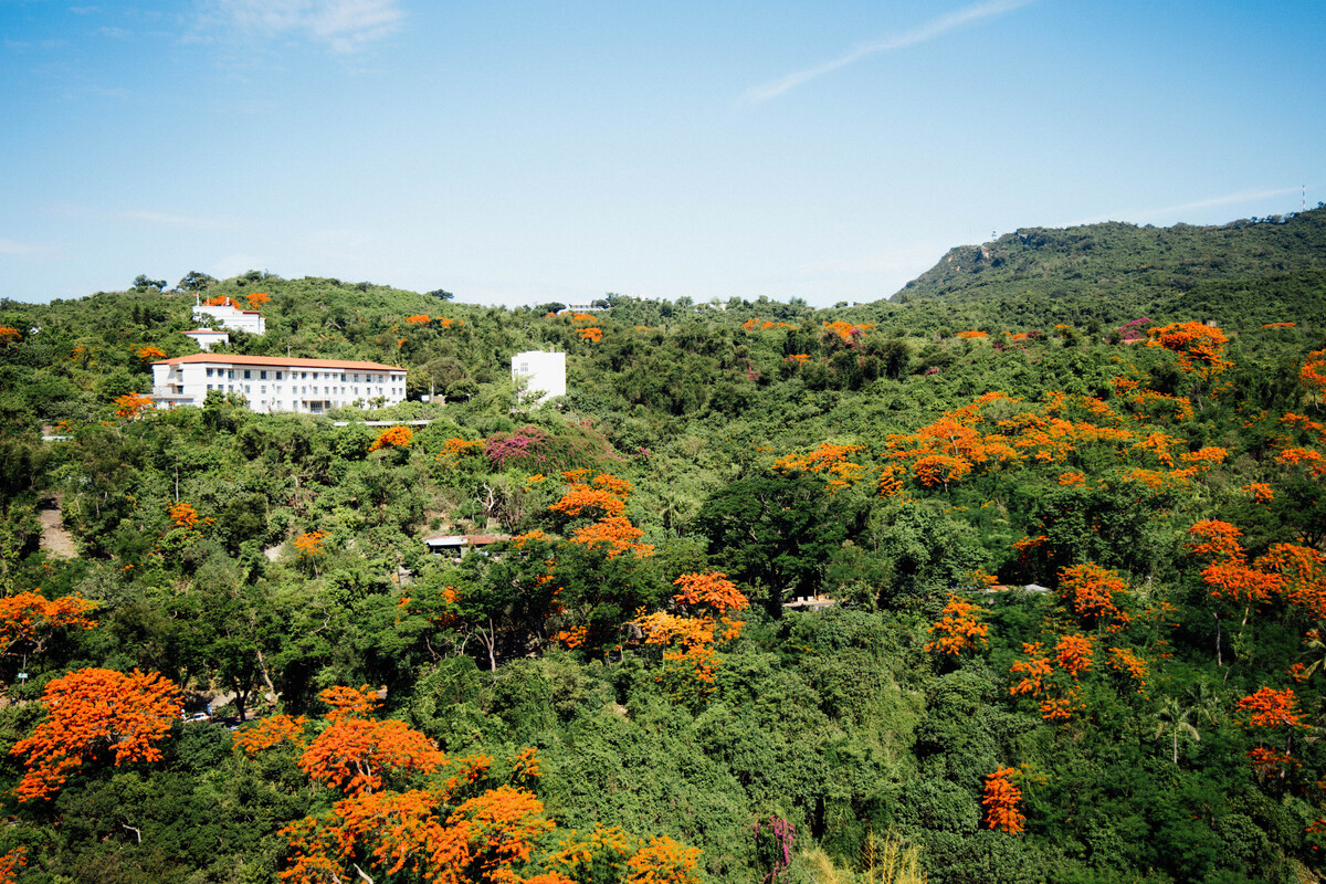 中山大學鳳凰花開　青春從山海啟程(另開新視窗/jpg檔)圖片