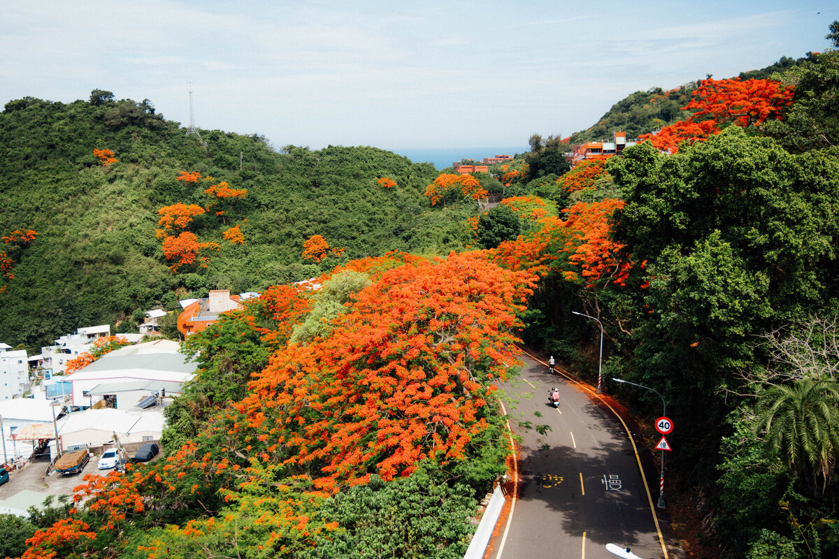 中山大學鳳凰花開　青春從山海啟程(另開新視窗/jpg檔)圖片