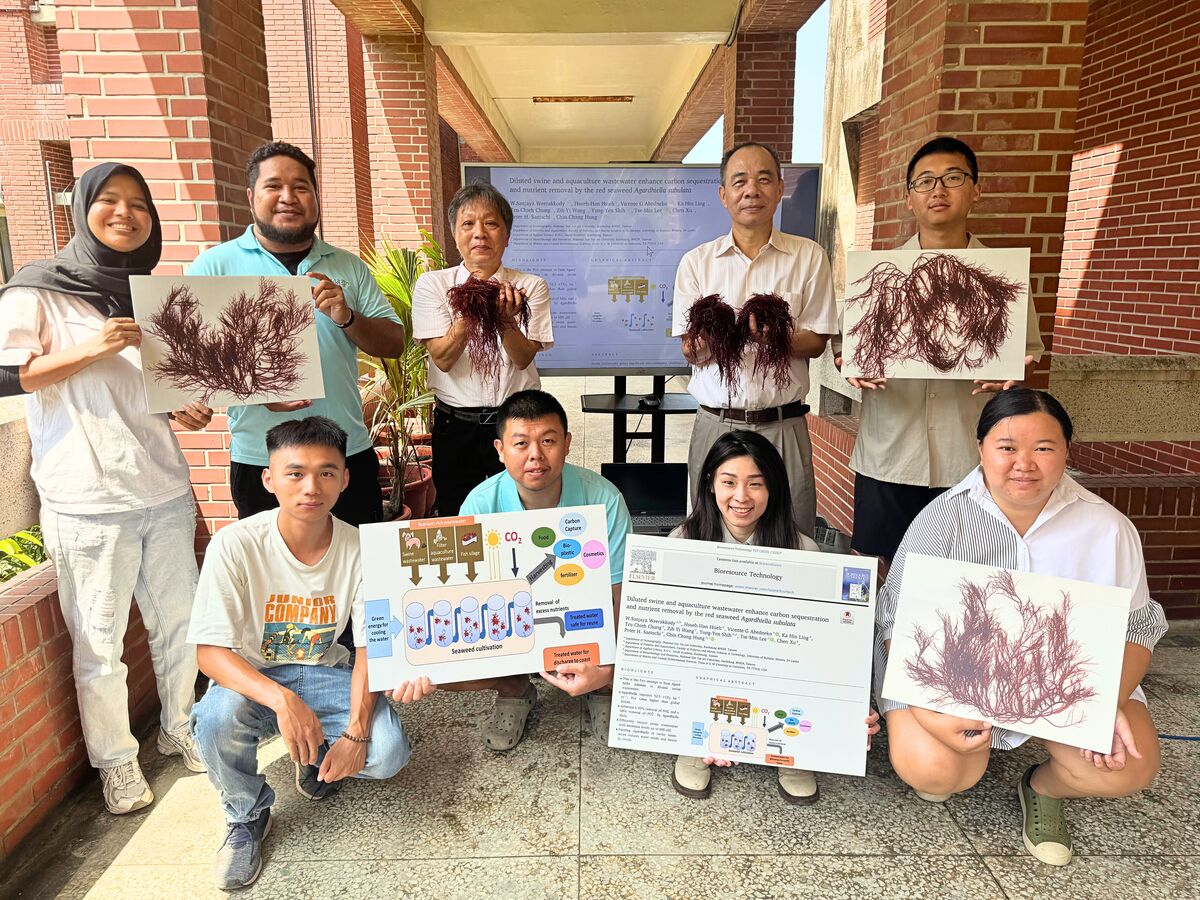 中山大學紅翎藻固碳研究，開創海水結合畜牧廢水養殖新路徑