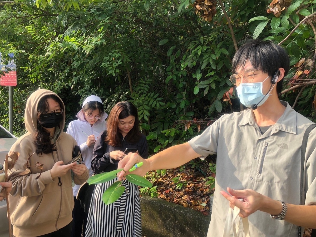 戶外踏查(另開新視窗/jpg檔)圖片