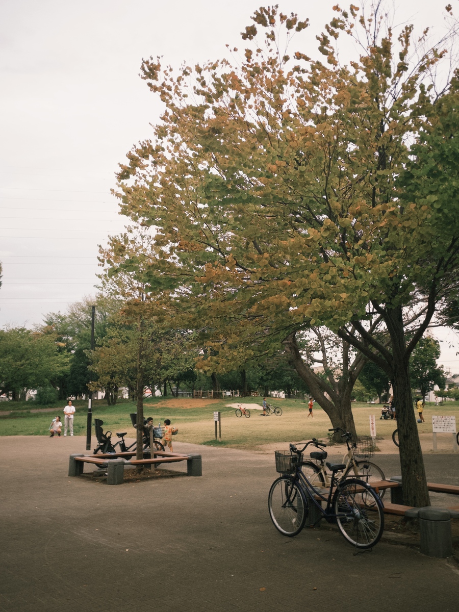 大鷹之森站鄰近公園(另開新視窗/jpg檔)圖片