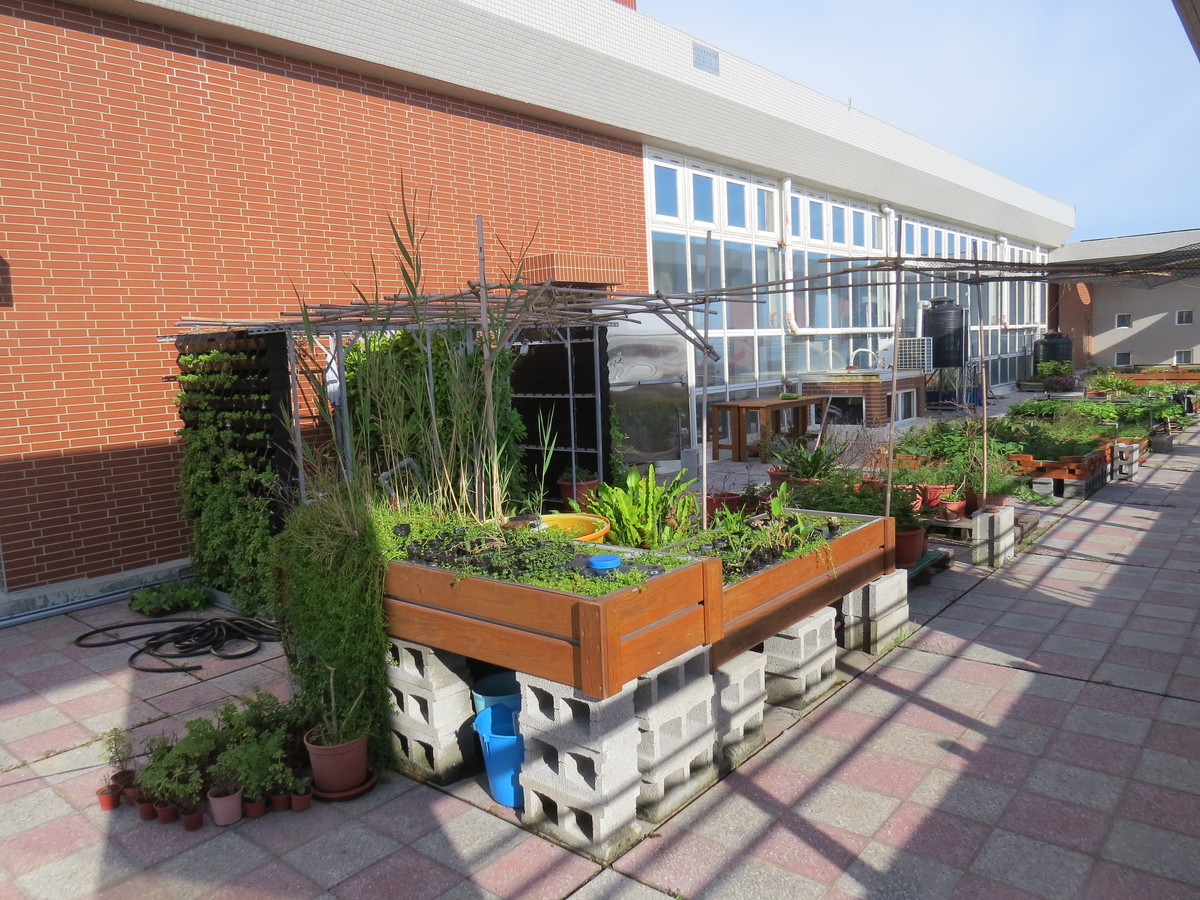 中山大學海工館綠屋頂 讓教室變涼了！(另開新視窗/jpg檔)圖片