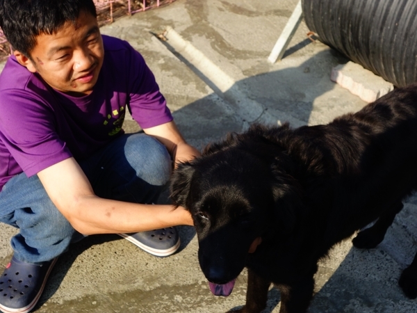 認養代替購買 給中山毛小孩一個家(另開新視窗/jpg檔)圖片