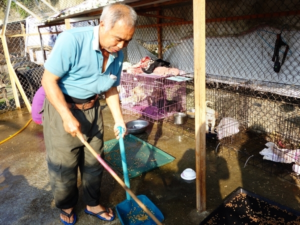 認養代替購買 給中山毛小孩一個家(另開新視窗/jpg檔)圖片