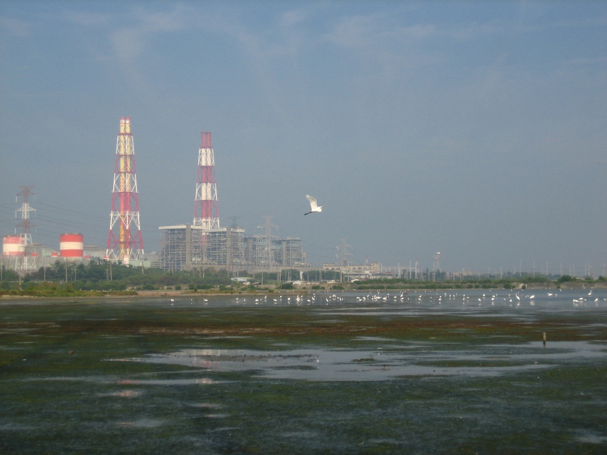 永安鹽田濕地(另開新視窗/jpg檔)圖片
