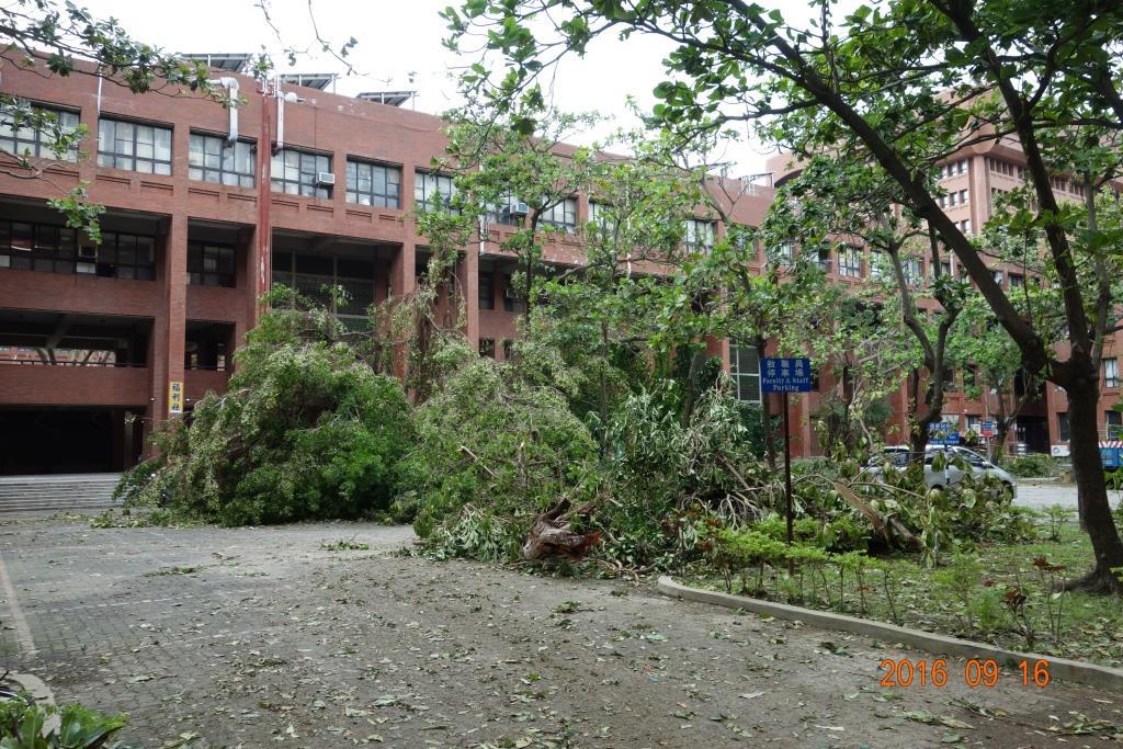 攜手同心 校園災後重生(另開新視窗/jpg檔)圖片