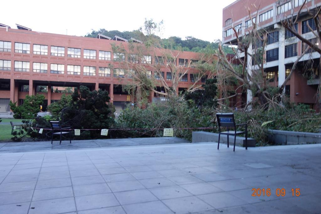 攜手同心 校園災後重生(另開新視窗/jpg檔)圖片