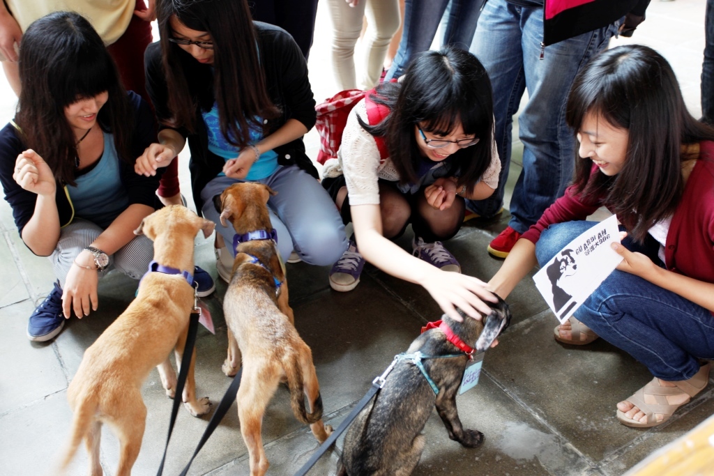 校園守護犬計畫啟動(另開新視窗/jpg檔)圖片