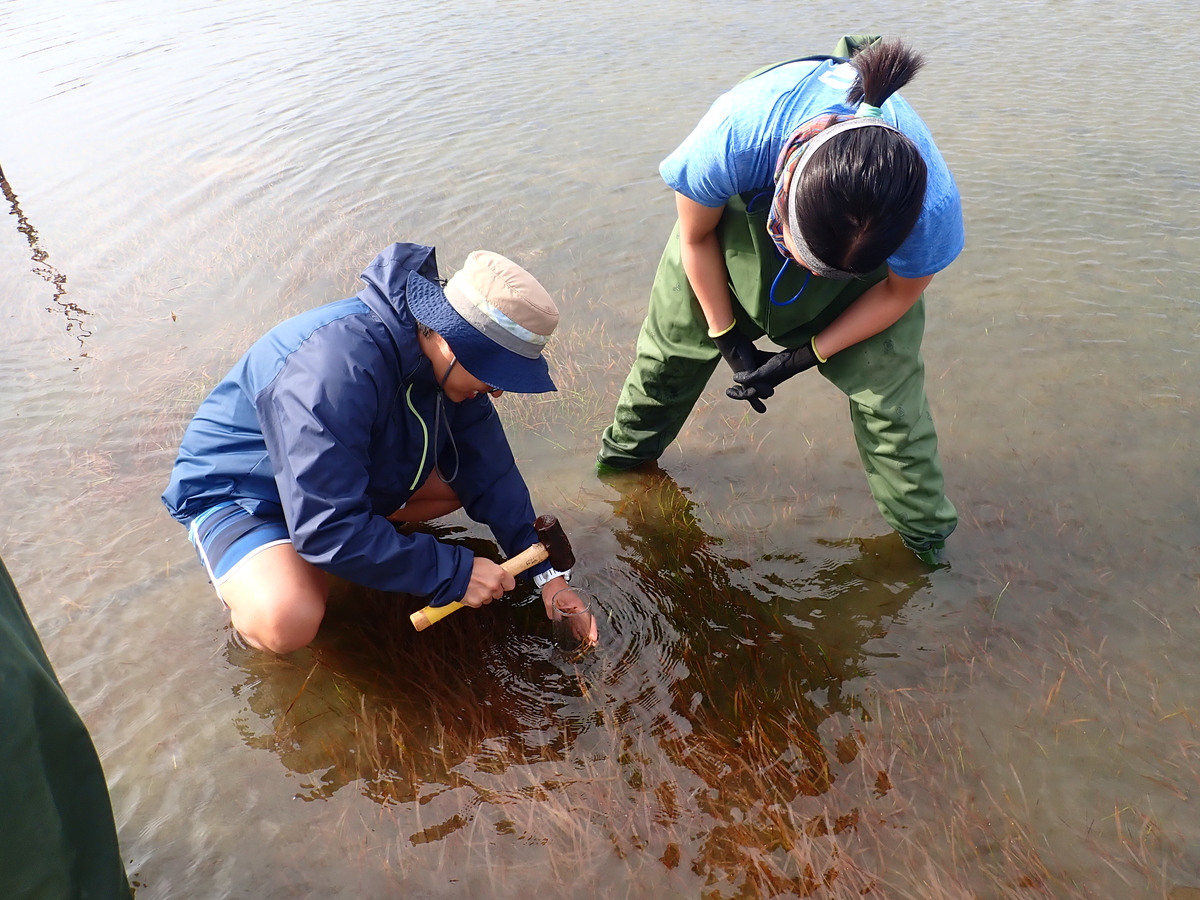 海洋研究不只在書本　中山大學USR課程實地探查東沙生態奧祕(另開新視窗/jpg檔)圖片