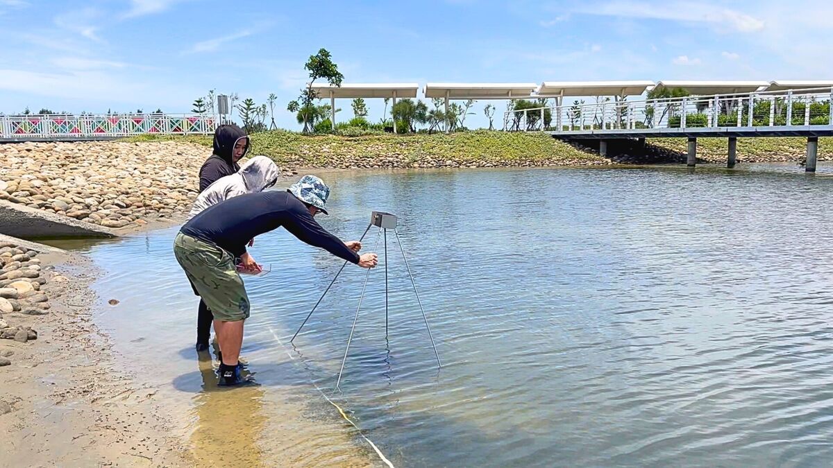 檢測海草覆蓋面積變化(另開新視窗/jpg檔)圖片