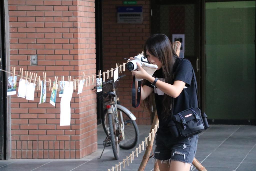莫蘭蒂吹倒菩提老樹 師生樹下見證重生(另開新視窗/jpg檔)圖片