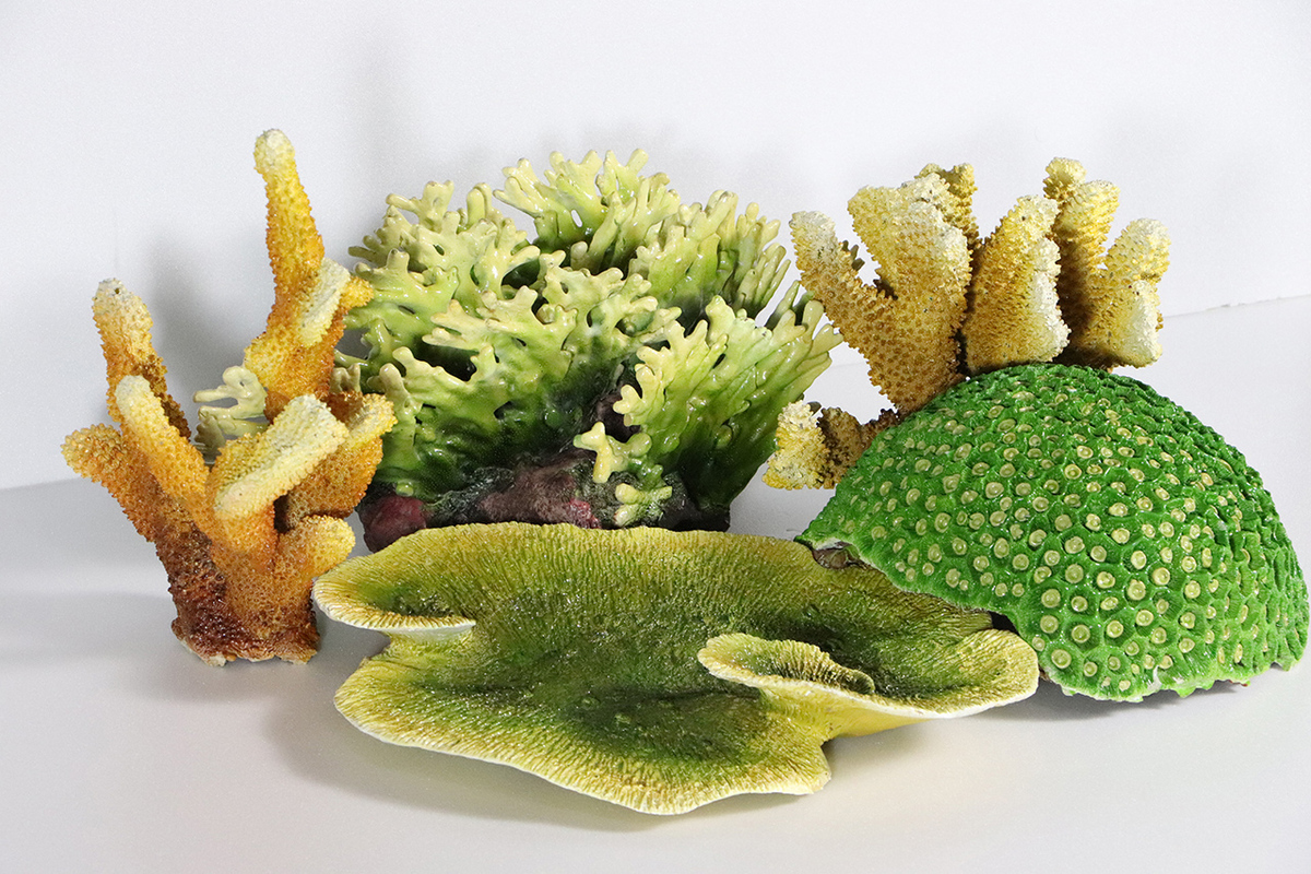 驚艷奇珍珊瑚行動展示箱（照片來源：國立海洋生物博物館）(另開新視窗/jpg檔)圖片