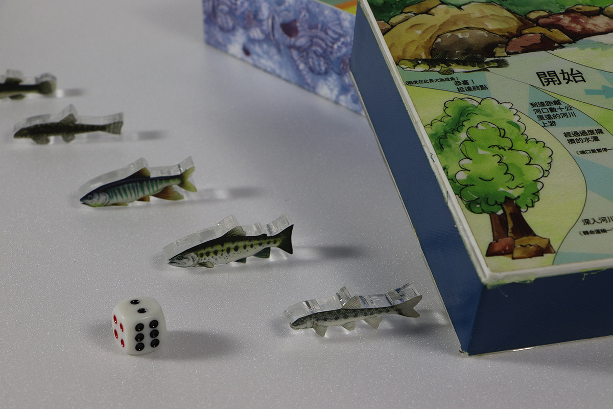 淡水魚來龍去脈行動展示箱（照片來源：國立海洋生物博物館）(另開新視窗/jpg檔)圖片