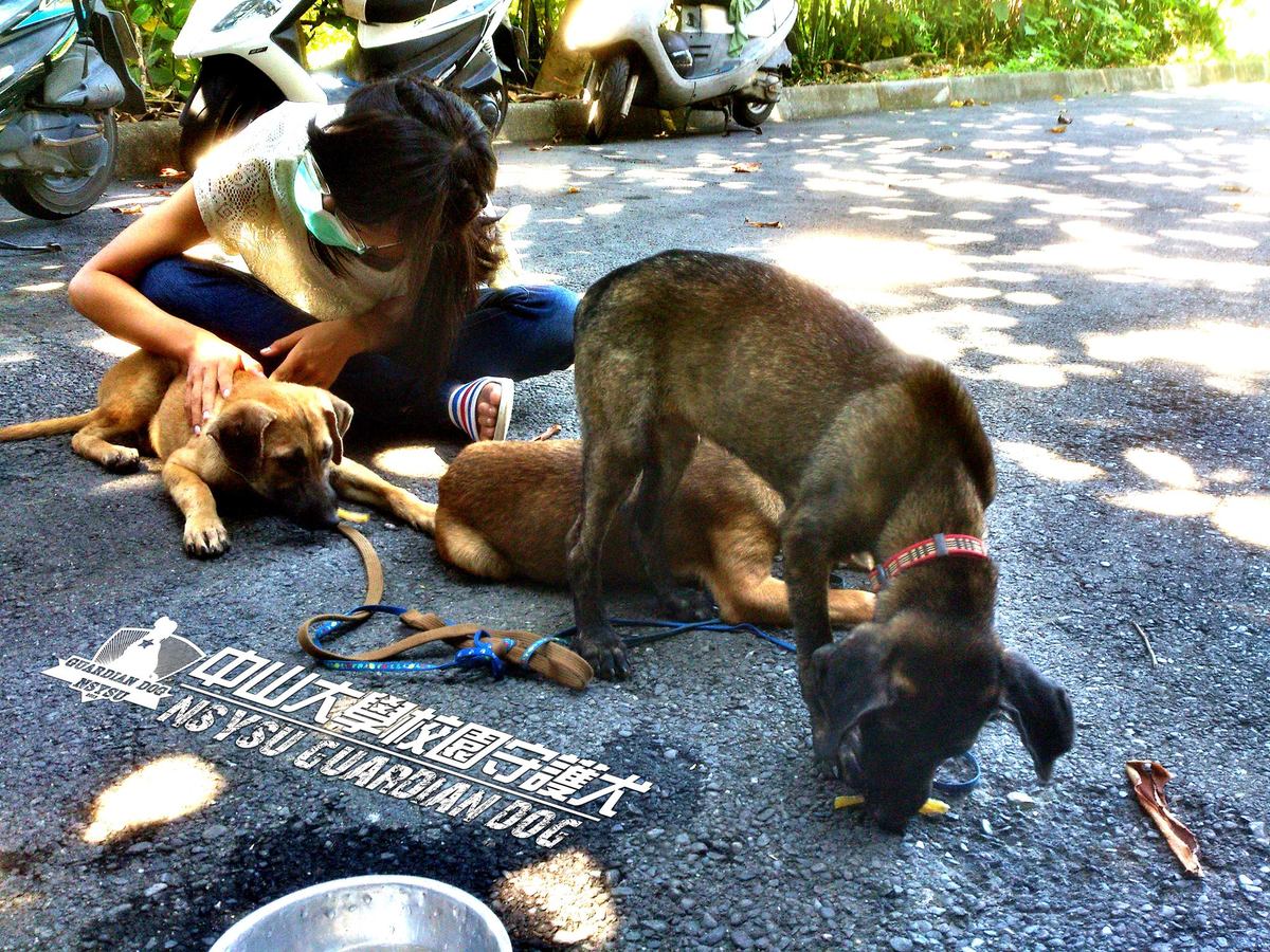 校園守護犬志工隊(另開新視窗/jpg檔)圖片