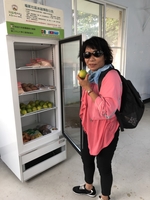 搶救即期食糧　中山大學成立「旗津社區冰箱」(另開新視窗/jpg檔)圖片