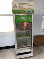 搶救即期食糧　中山大學成立「旗津社區冰箱」(另開新視窗/jpg檔)圖片