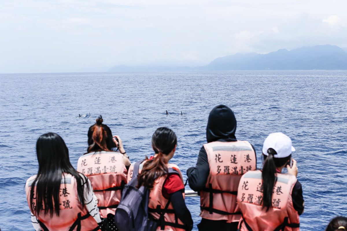 學生在太平洋上學習黑潮洋流與大型生物習性