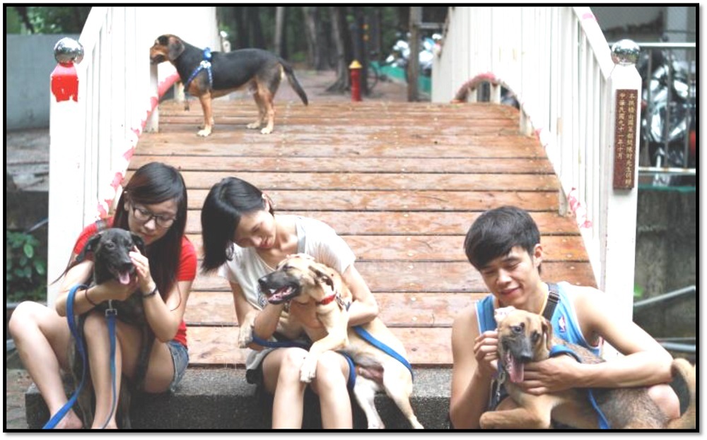 守護犬的餵食、洗澡等工作，都是由志工學生包辦。　中山大學校園流浪犬專案小組/提供(另開新視窗/jpg檔)圖片