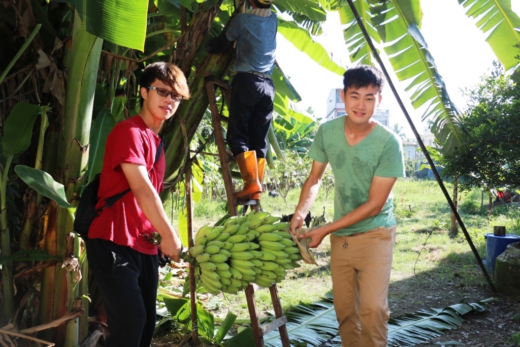 農村體驗正夯 中山大學邀青年當「蕉」換生(另開新視窗/jpg檔)圖片