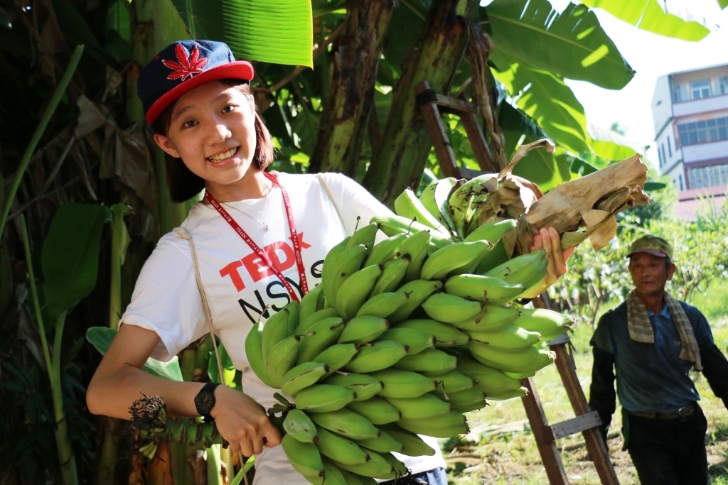 農村體驗正夯 中山大學邀青年當「蕉」換生(另開新視窗/jpg檔)圖片