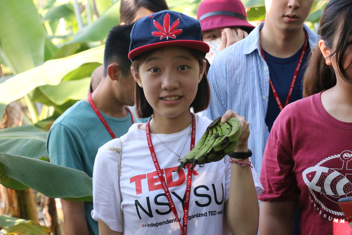 農村體驗正夯 中山大學邀青年當「蕉」換生(另開新視窗/jpg檔)圖片