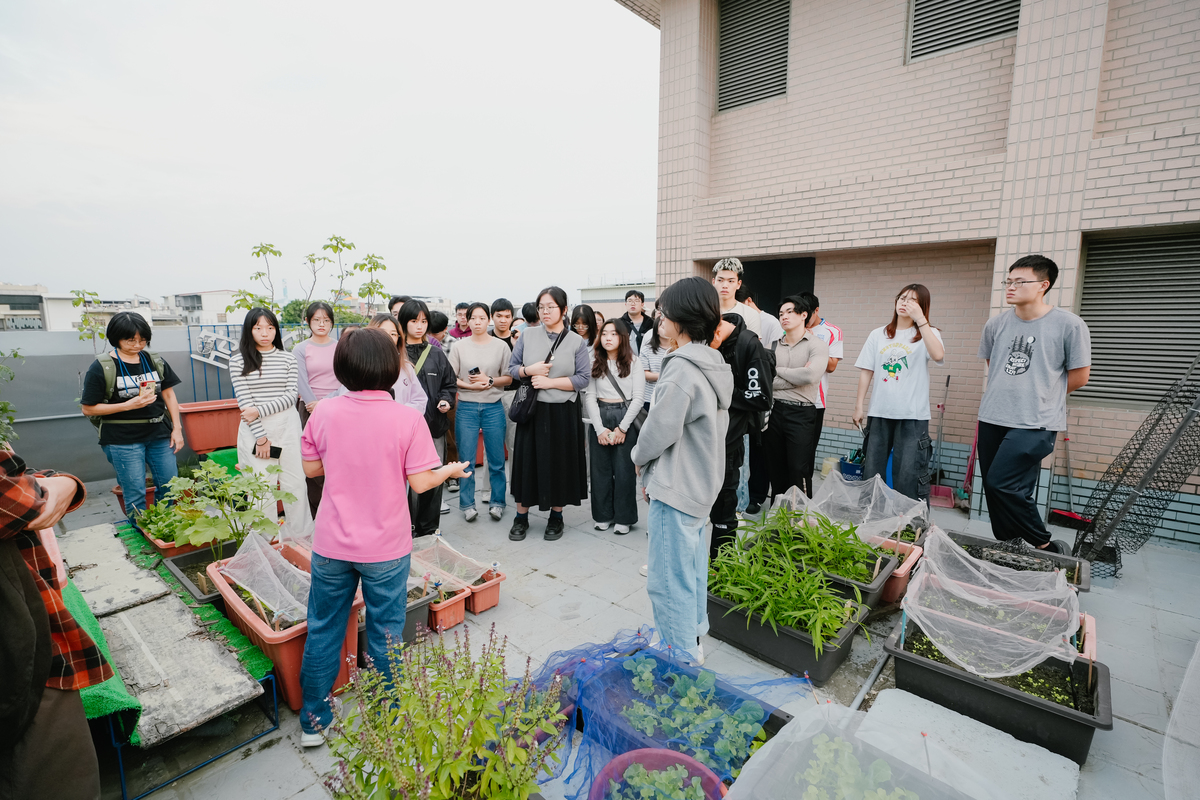 空中菜園(另開新視窗/jpg檔)圖片