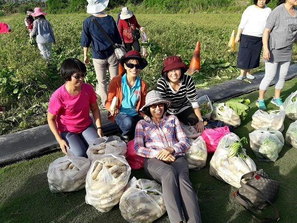 眷聯會美濃巡禮 拔蘿蔔體驗田園樂(另開新視窗/jpg檔)圖片