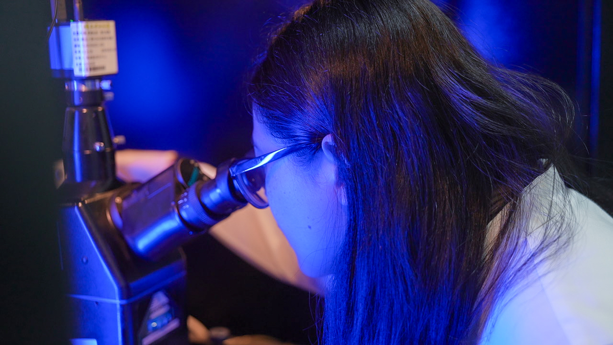 中山大學電機工程學系郭庭慈榮獲TSIA 2025半導體獎博士研究生類(另開新視窗/jpg檔)圖片