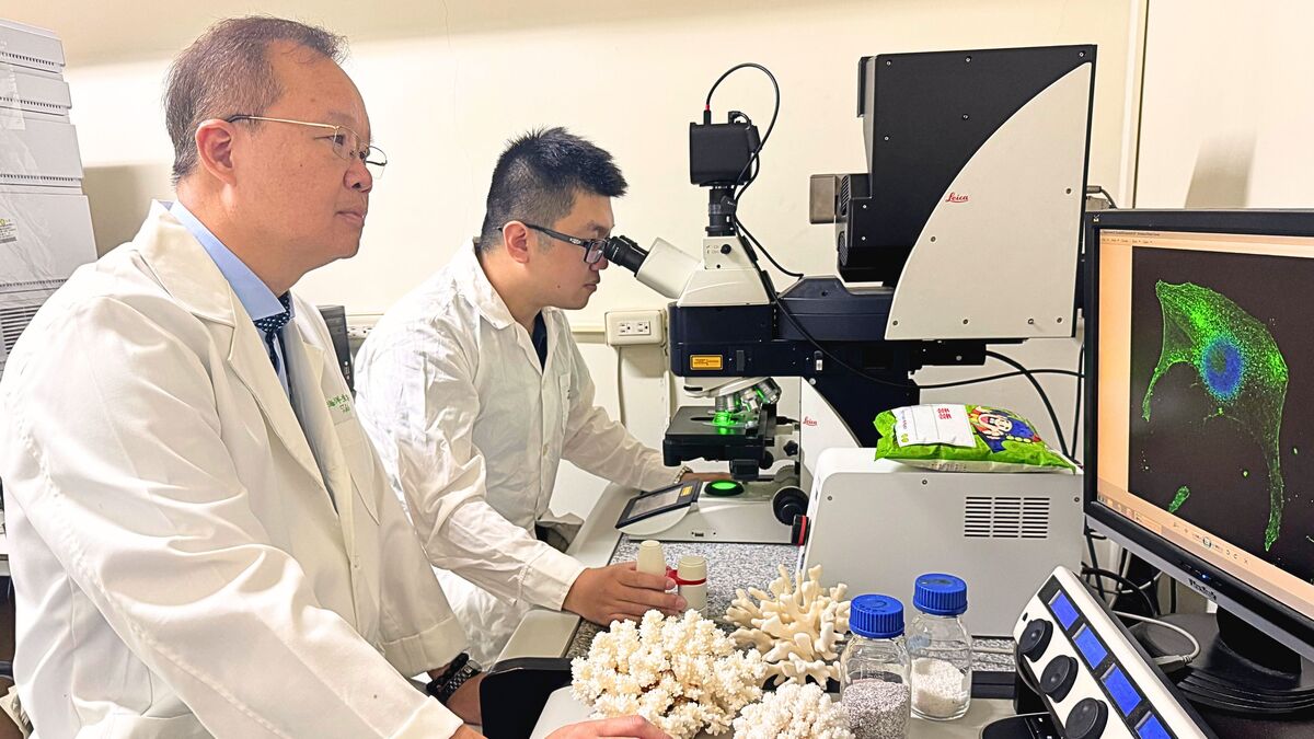 中山大學發現罕見耐熱珊瑚可做高階骨材(另開新視窗/jpg檔)圖片