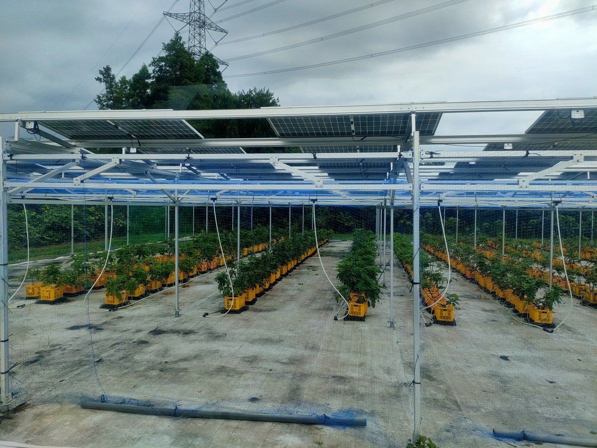 從廢校經濟到農電共生　師生赴日千葉直擊農村永續創新(另開新視窗/jpg檔)圖片