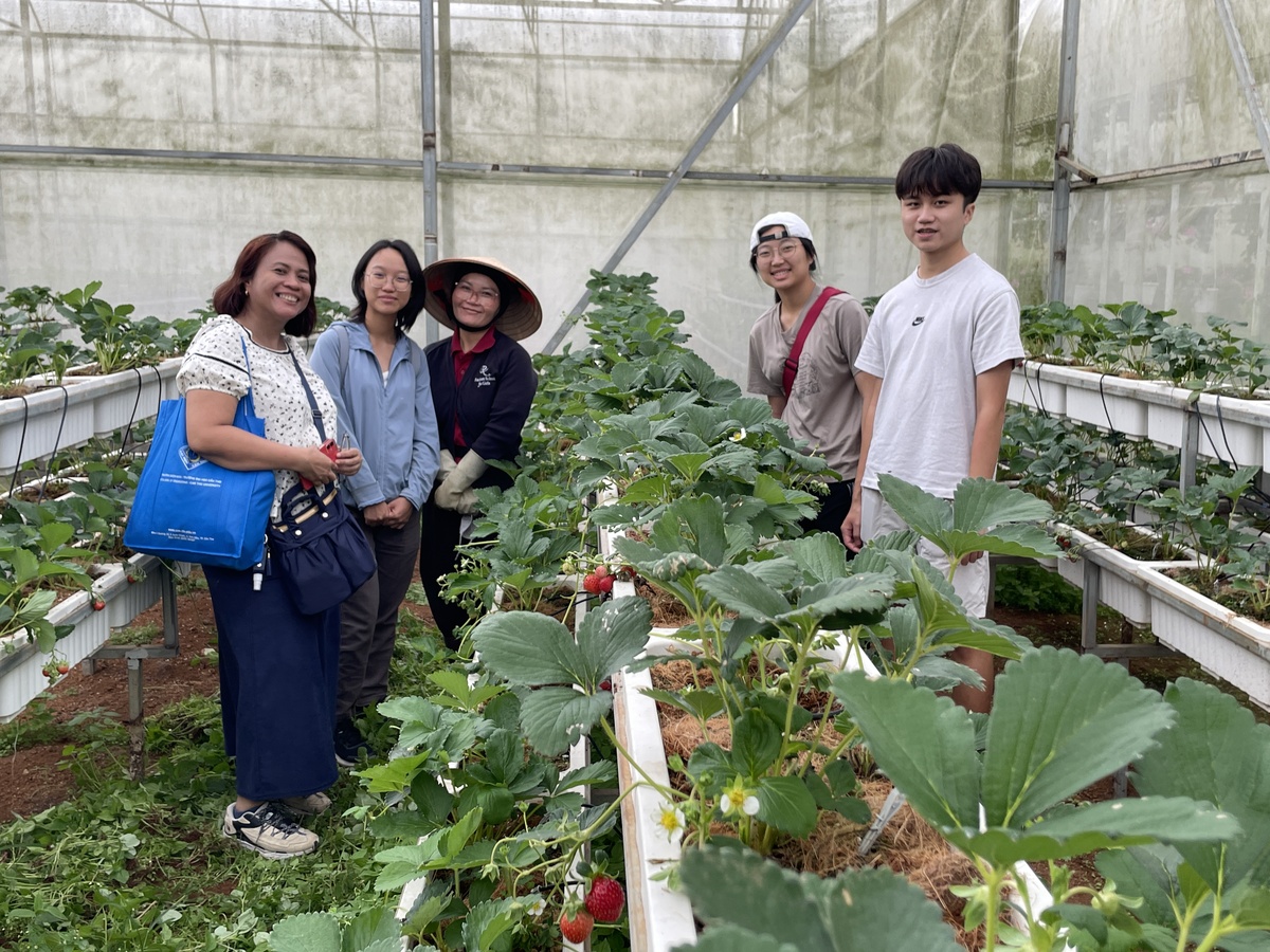 大叻溫室種植技術學習(另開新視窗/jpg檔)圖片