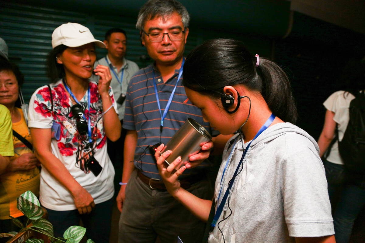 影音》「鹽夏不夜埕」街區演出　復興老城區的記憶(另開新視窗/jpg檔)圖片