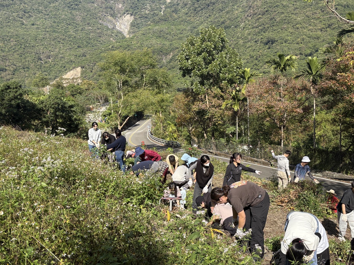 學生合力進行除草(另開新視窗/jpg檔)圖片