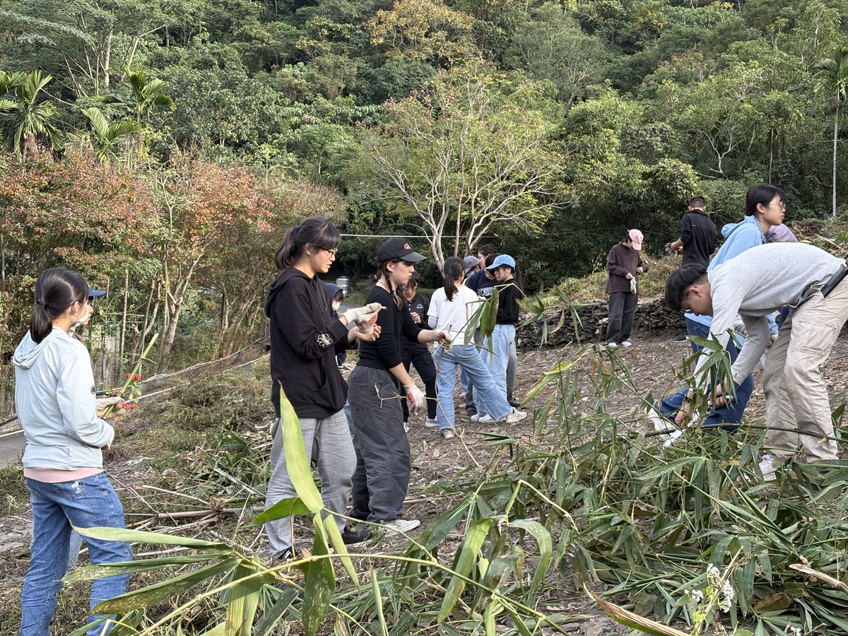 鋸切粗枝利於燒墾，並整理木段作農事準備(另開新視窗/jpg檔)圖片