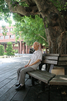 余光中老師在菩提樹下的身影(另開新視窗/jpg檔)圖片