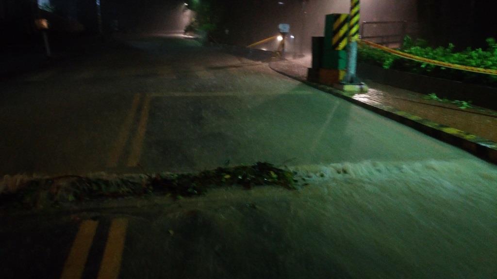 梅姬颱風校園災損 菩提樹挺過風雨(另開新視窗/jpg檔)圖片