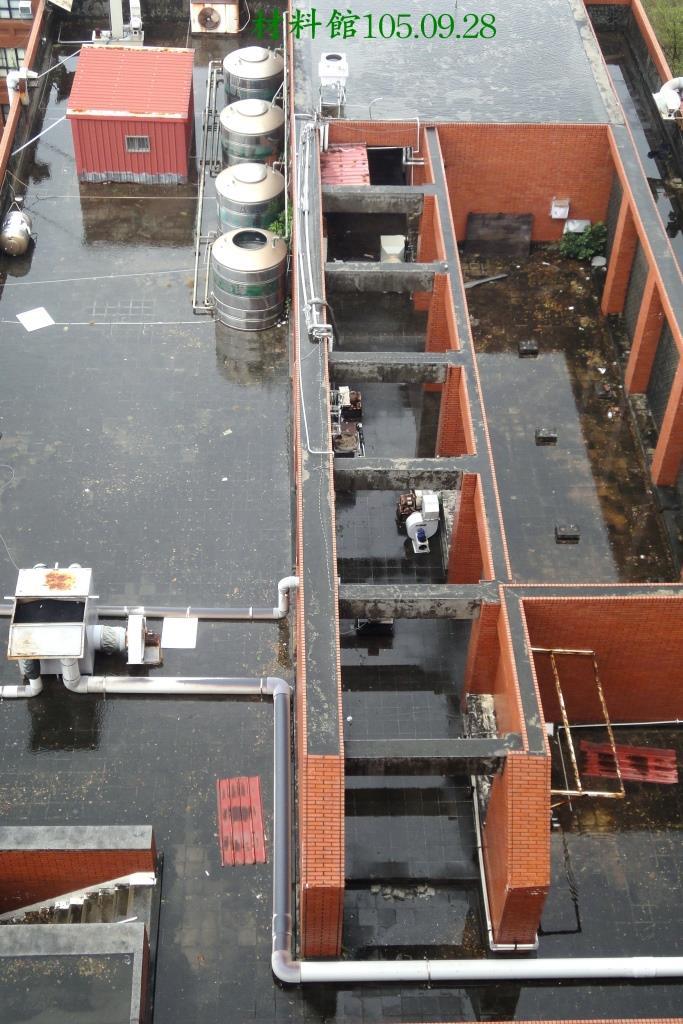 梅姬颱風校園災損 菩提樹挺過風雨(另開新視窗/jpg檔)圖片