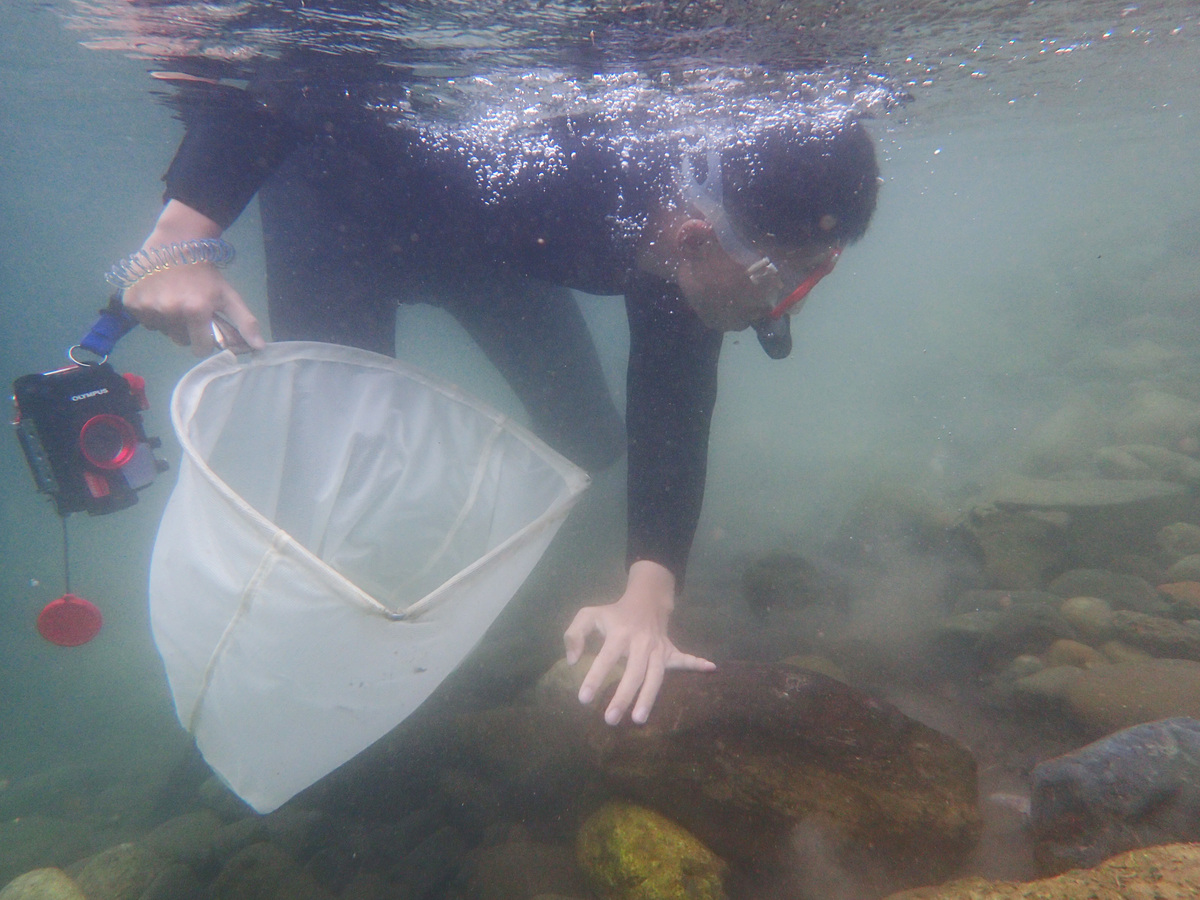 至菲律賓呂宋島北部調查研究。(另開新視窗/jpg檔)圖片