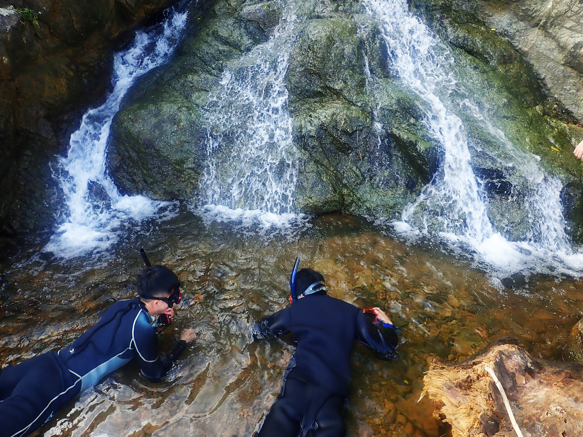 至菲律賓呂宋島北部調查研究(另開新視窗/jpg檔)圖片