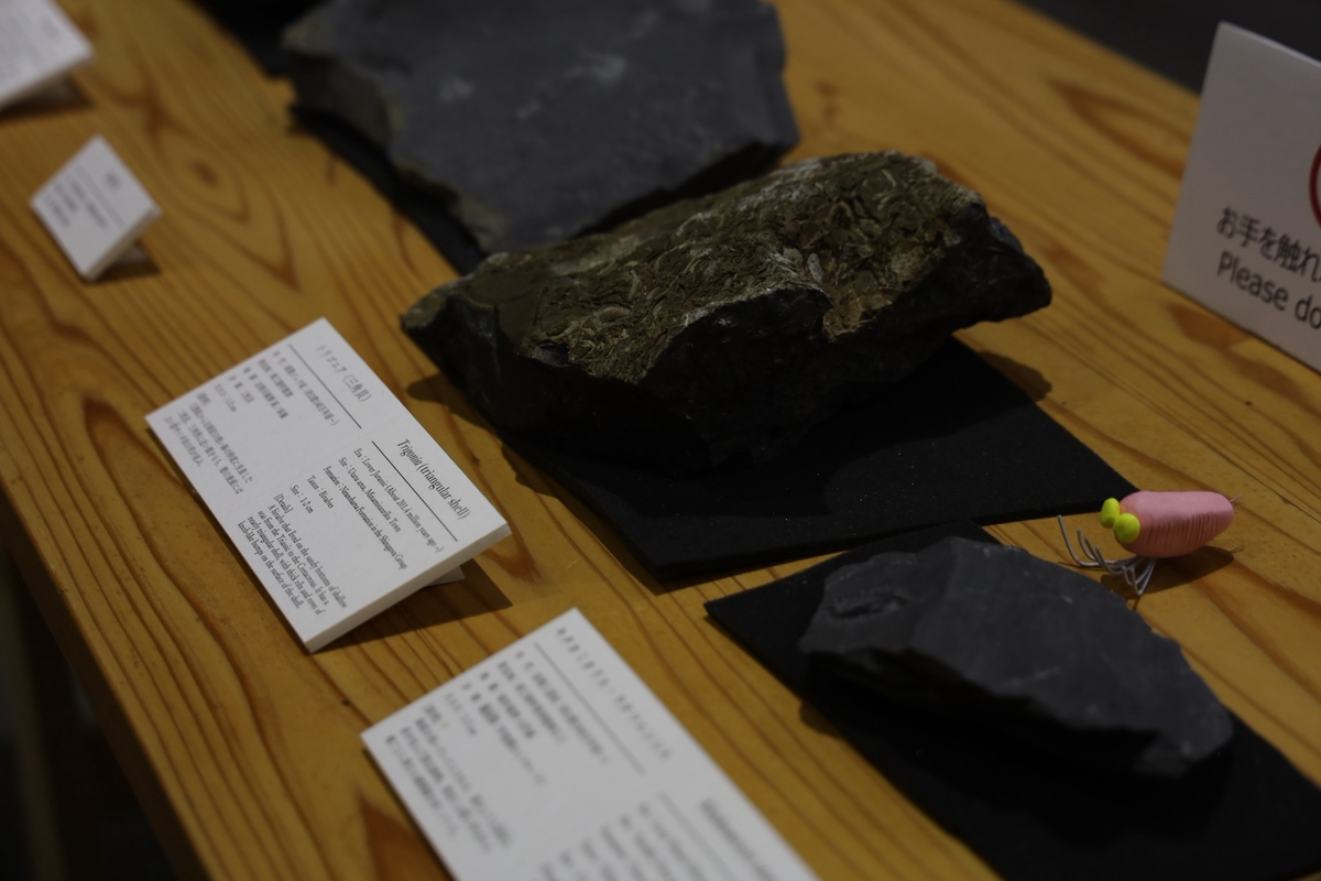 從震災廢墟走向自然正向復興　中山大學師生赴日本南三陸町見學(另開新視窗/jpg檔)圖片