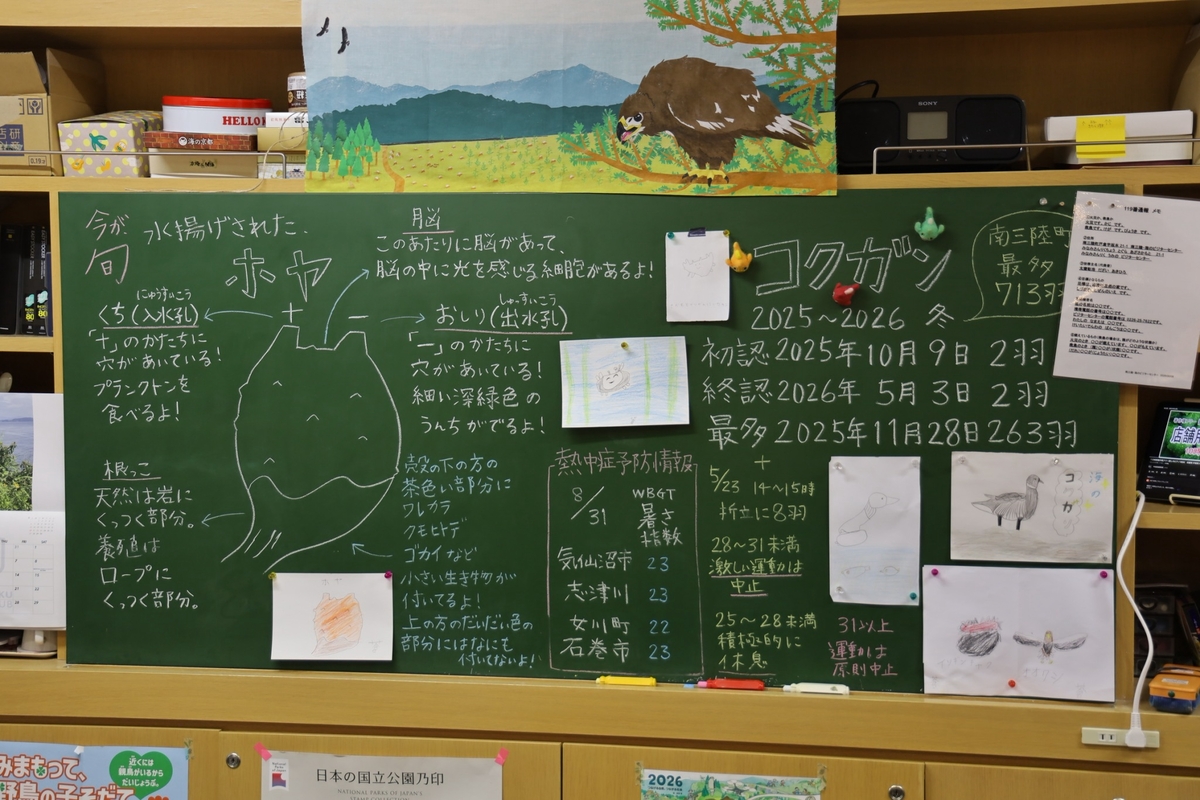 從震災廢墟走向自然正向復興　中山大學師生赴日本南三陸町見學(另開新視窗/jpg檔)圖片