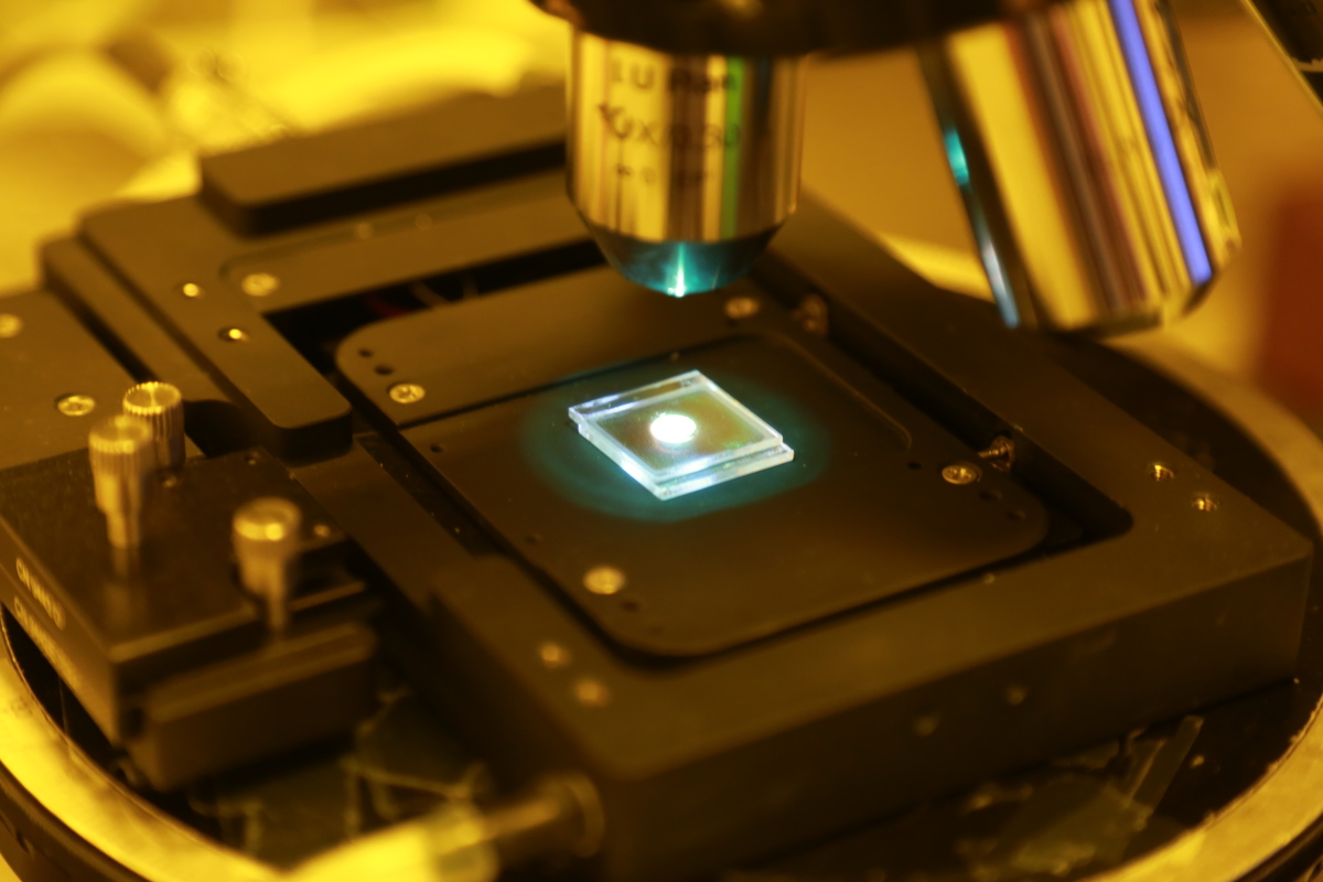 研究團隊繼2017年以製作出全球第一個超大尺寸單晶的藍相液晶（如圖）發表論文於《Nature Communication》後，今年再以突破性的研究「場致晶格重構」，獲國際頂尖學術期刊《Nature Materials》。(另開新視窗/jpg檔)