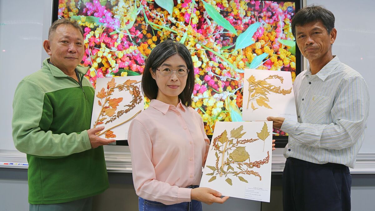 中山大學生科系助理教授劉世慧（中）與研究團隊成員伍蜀中（左）和林志忠（右）共同建立臺灣藜的國際生長編碼(另開新視窗/jpg檔)圖片