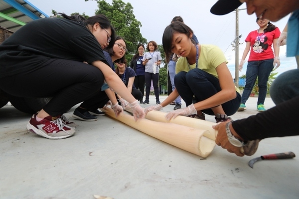 學員體驗剝除香蕉莖。(另開新視窗/jpg檔)圖片