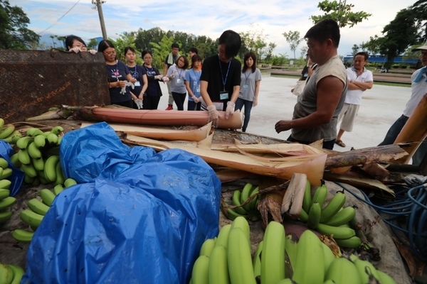 邀青年再造農村 中山大學組「蕉」糖兵團(另開新視窗/jpg檔)圖片